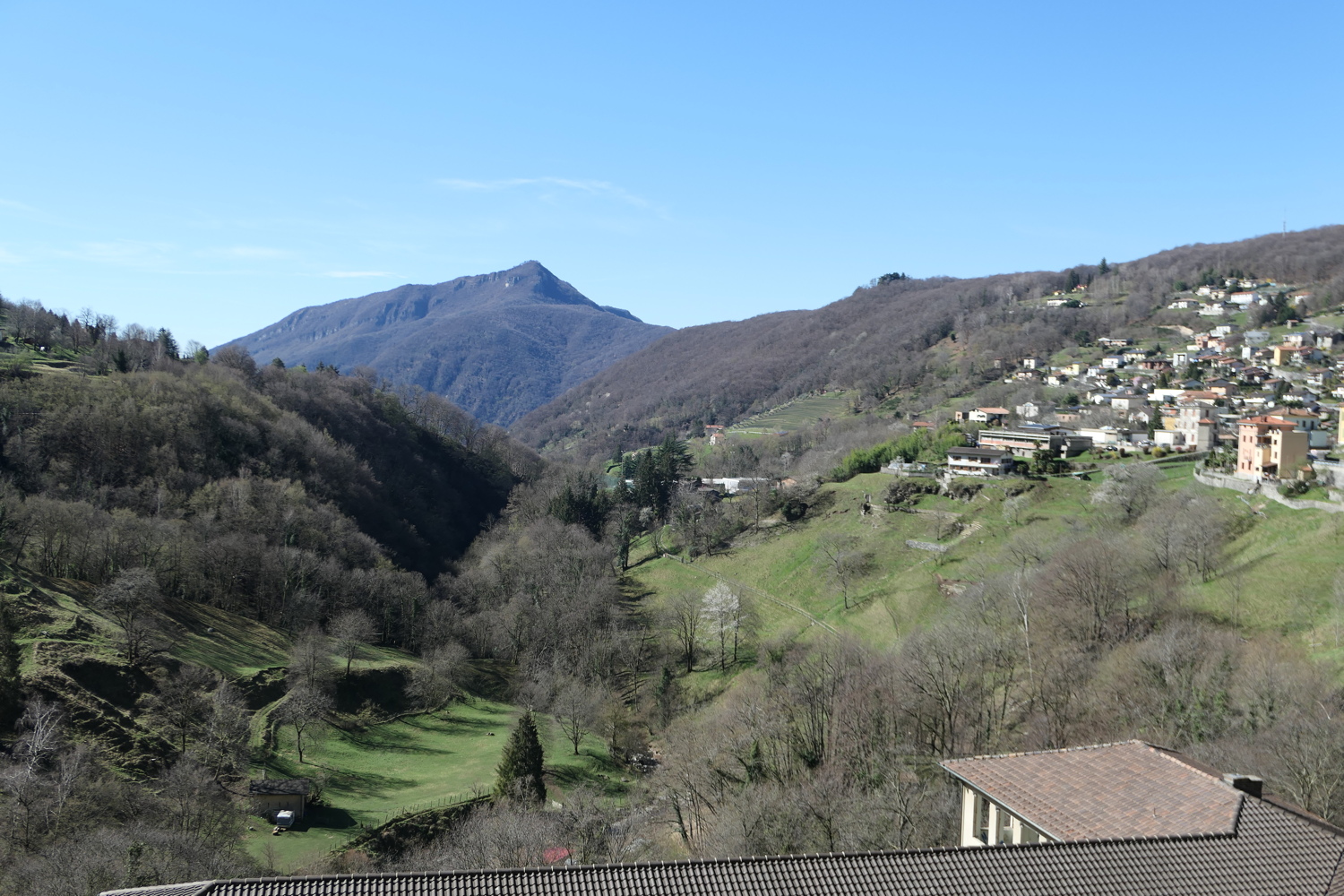 p1050477.jpg