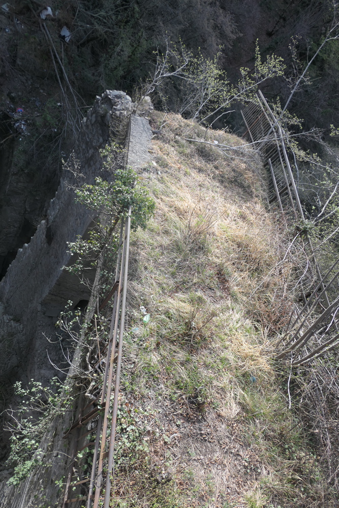 p1050513.jpg