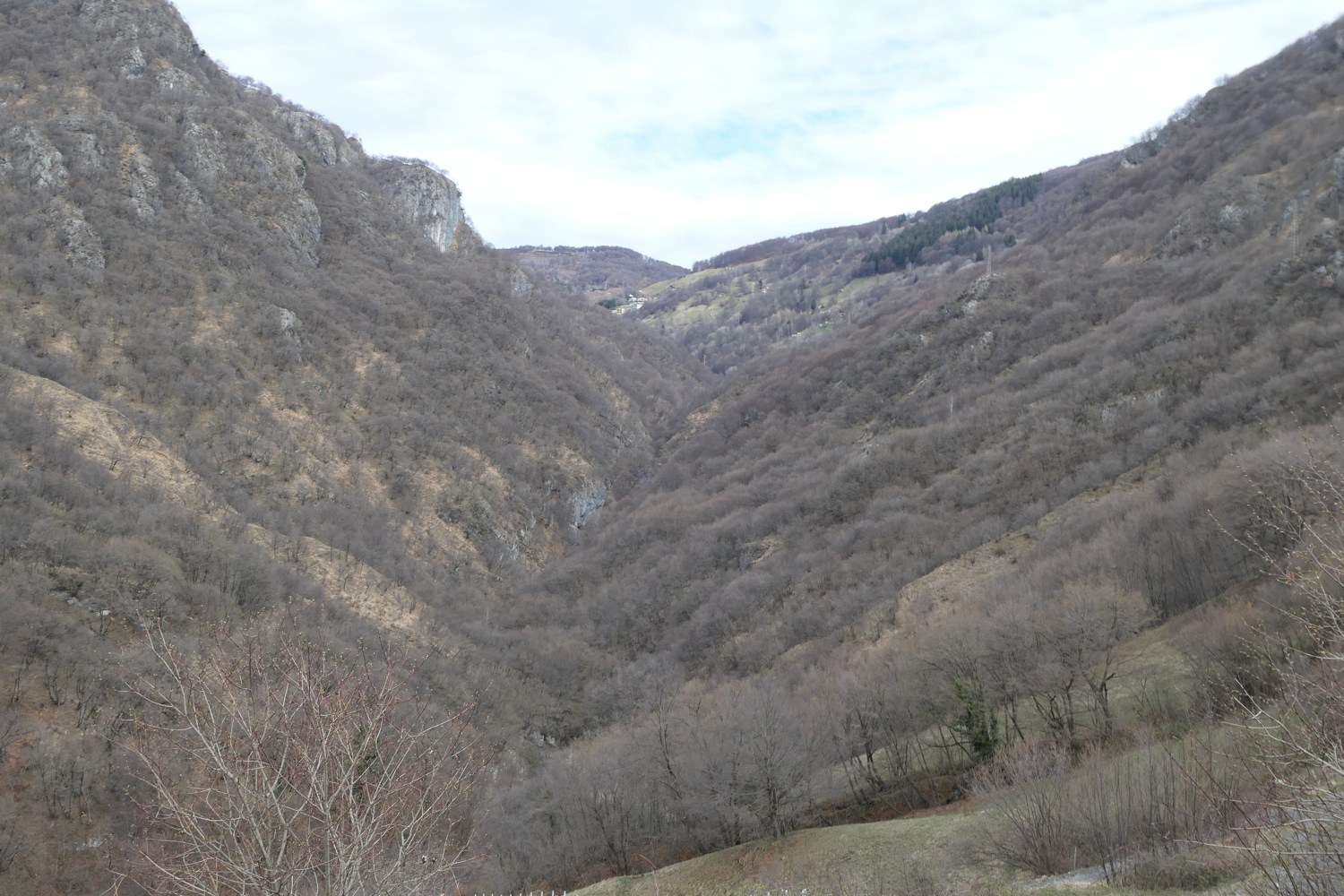 p1050515.jpg