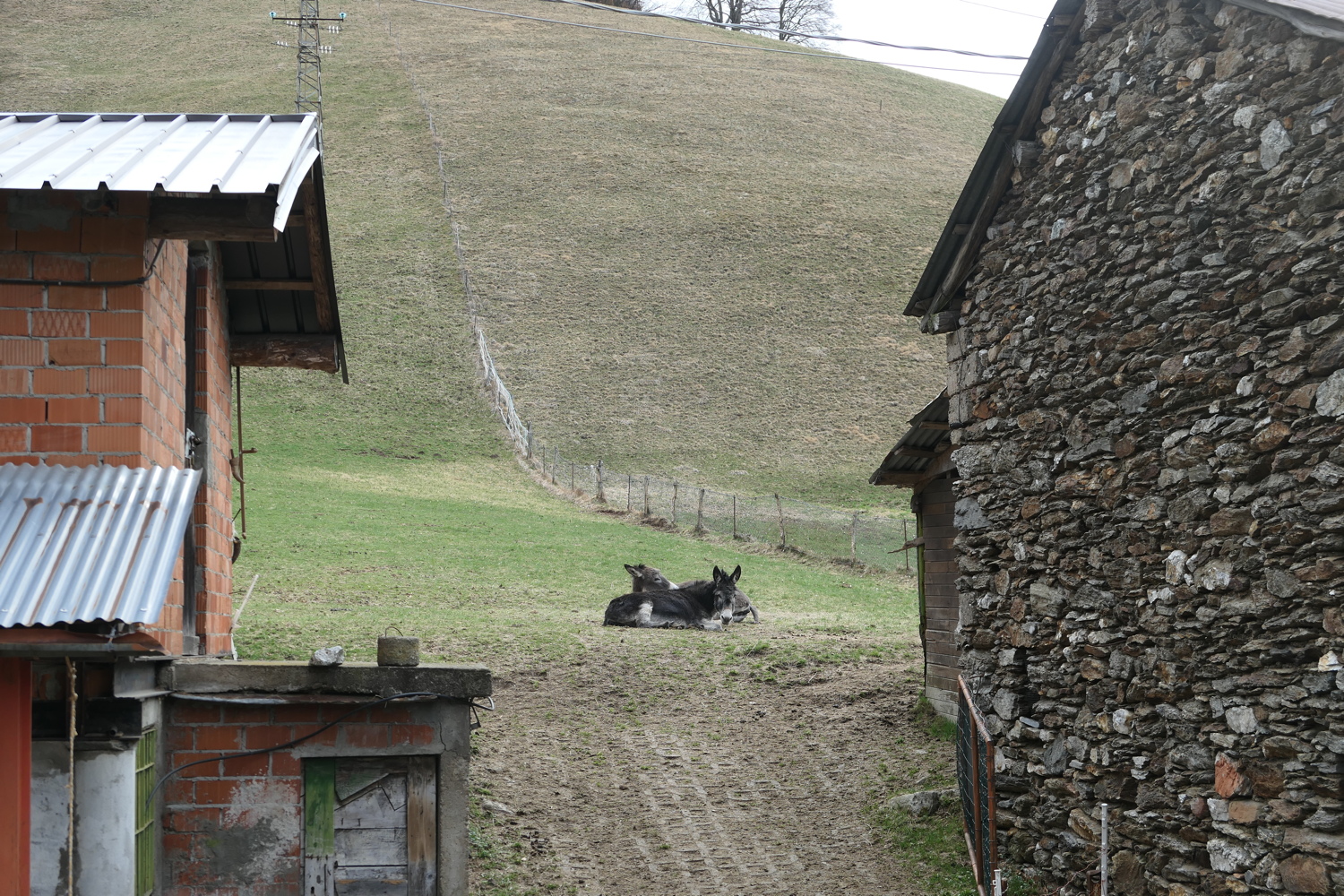 p1050516.jpg