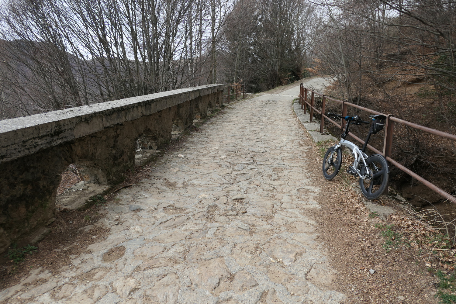 p1050518.jpg