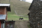 p1050516.jpg