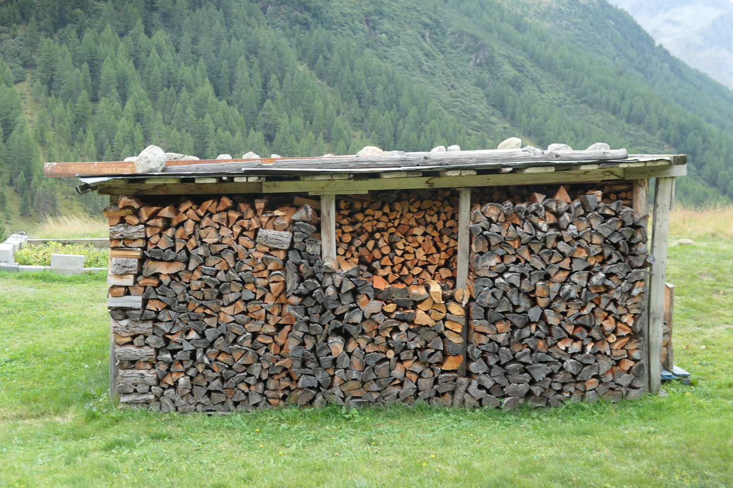 p1060613.jpg