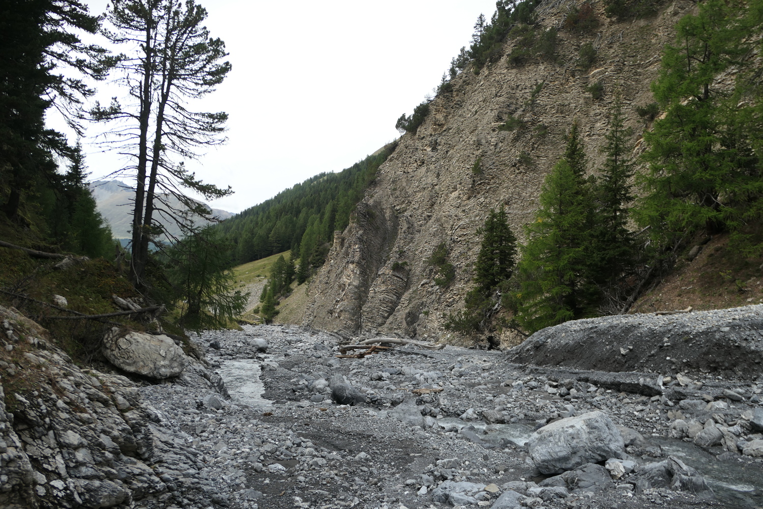 p1060663.jpg