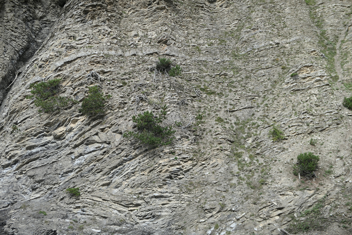 p1060664.jpg