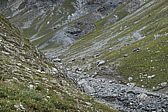 p1060638.jpg