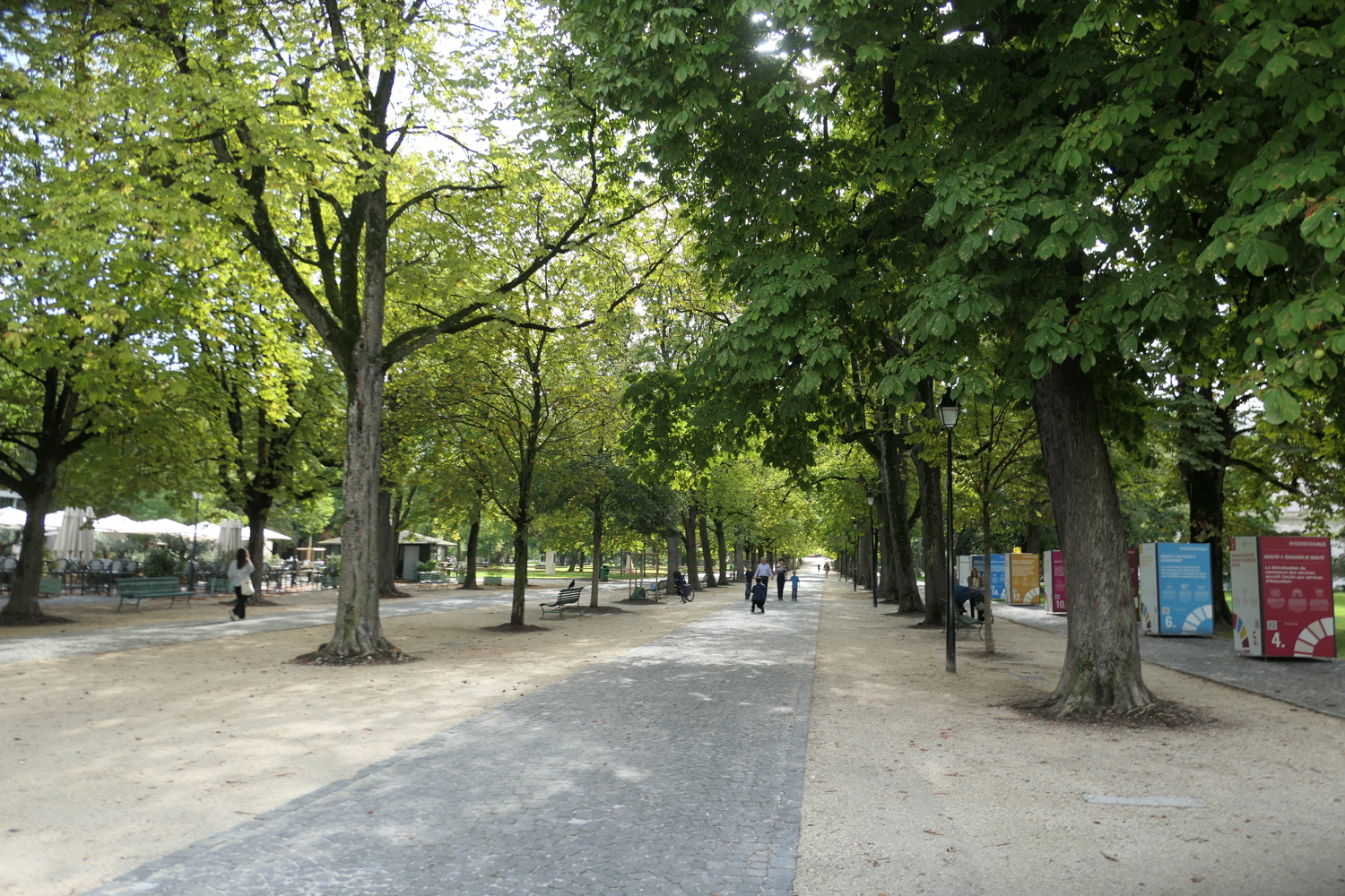 p1060674.jpg