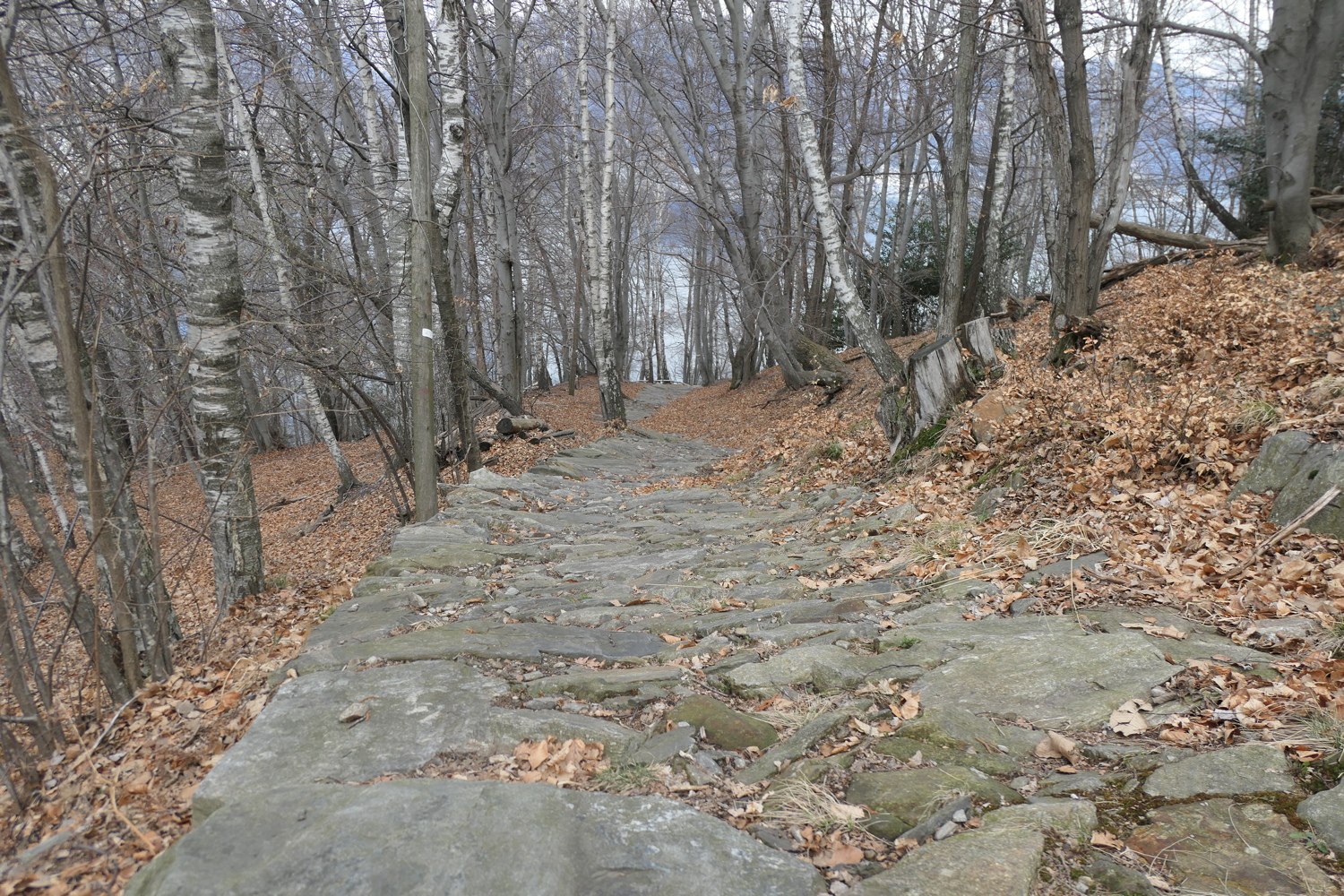 p1050542.jpg