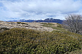 p1050532.jpg