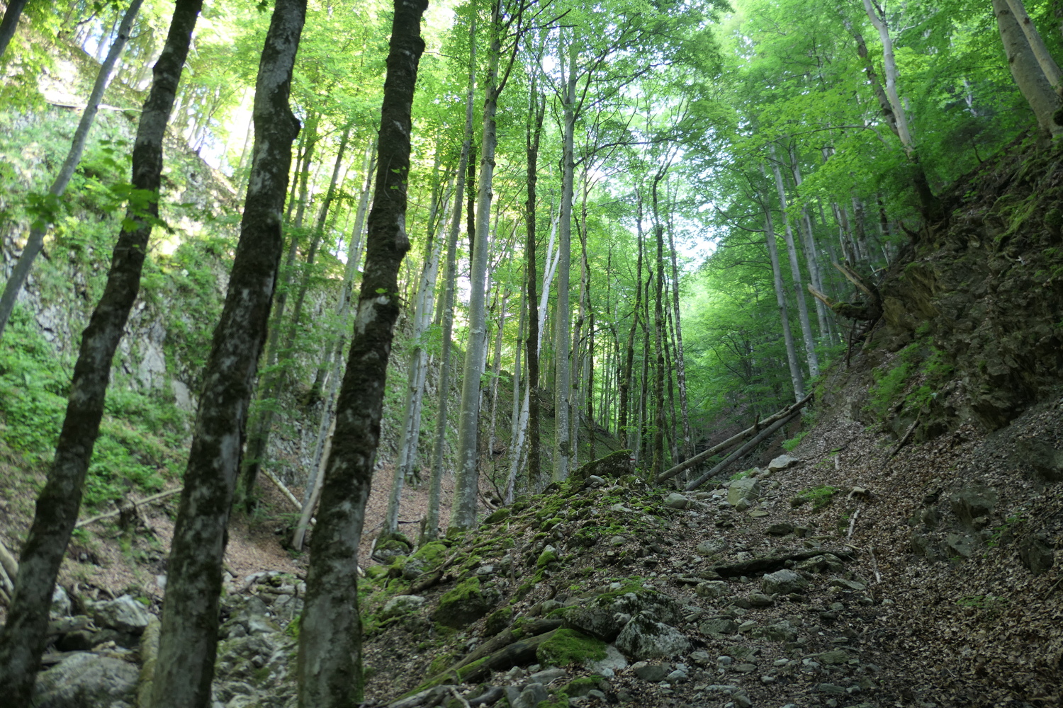 p1060073.jpg