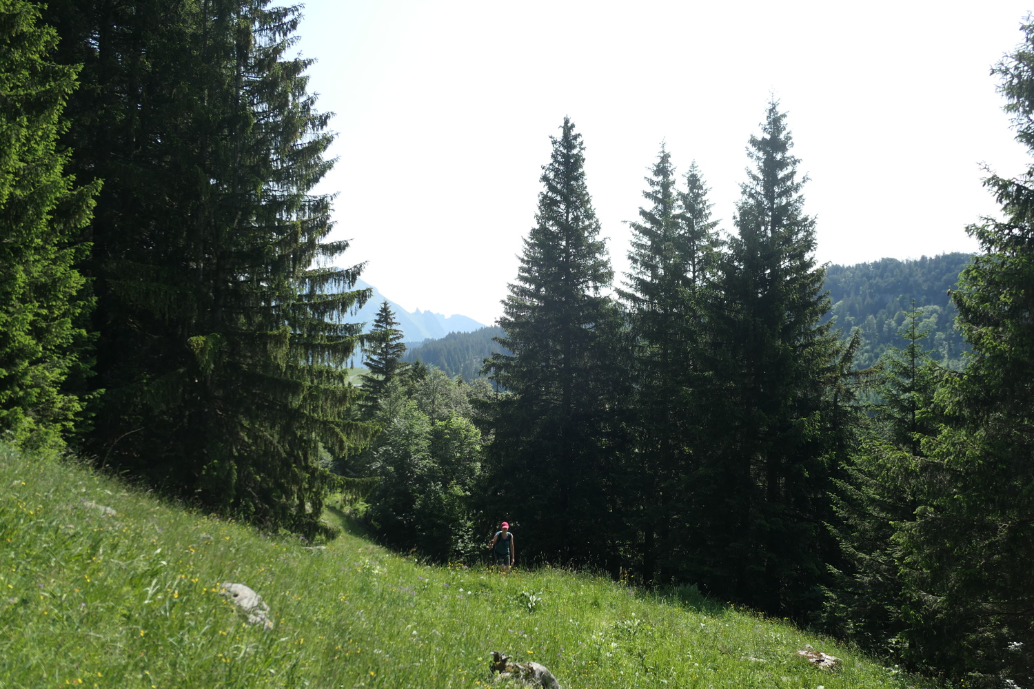p1060076.jpg