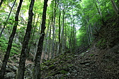 p1060073.jpg