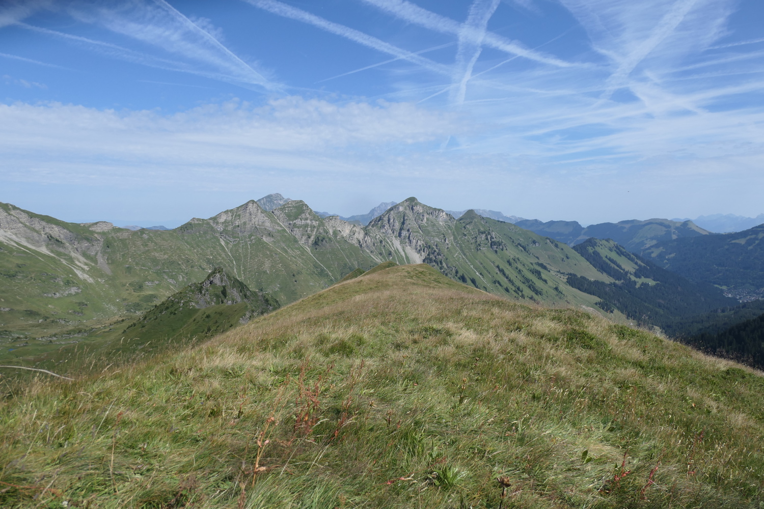 p1060471.jpg