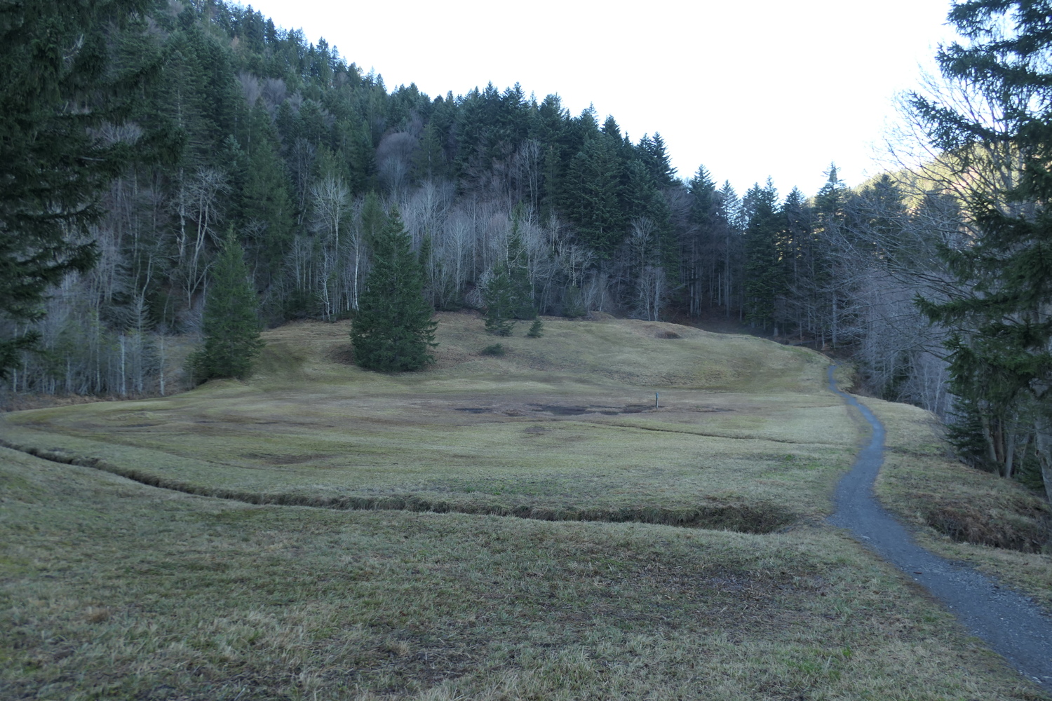 p1050079.jpg