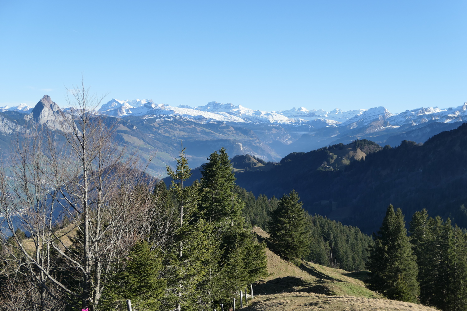 p1050083.jpg
