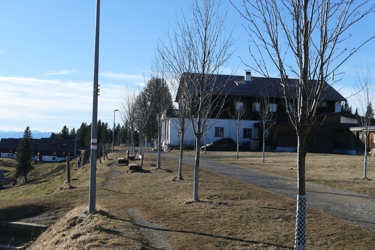 p1050095.jpg