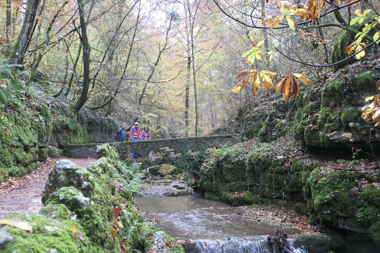 p1080023.jpg