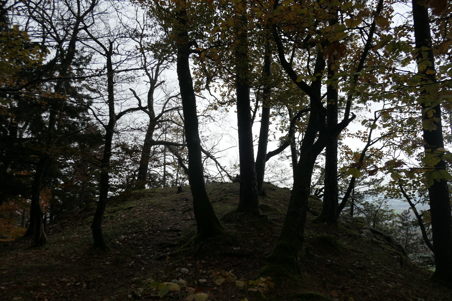 p1080030.jpg