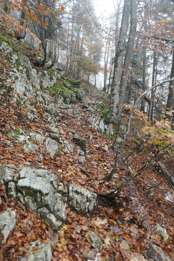 p1080034.jpg