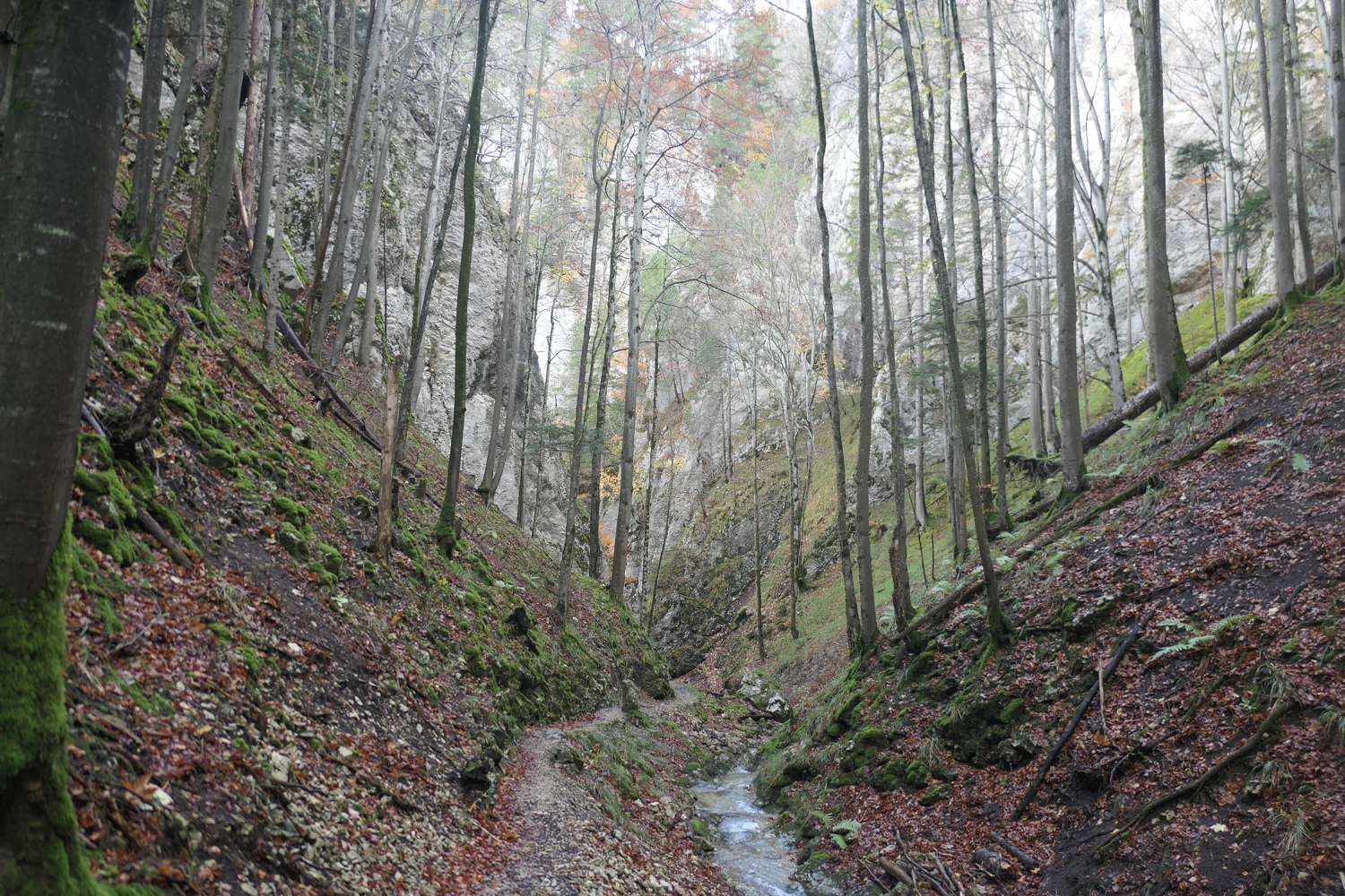 p1080053.jpg