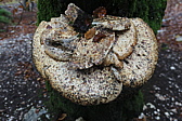 p1080033.jpg