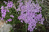 p1060216.jpg