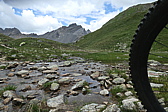 p1060222.jpg