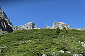 p1060235.jpg