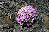 p1060254.jpg