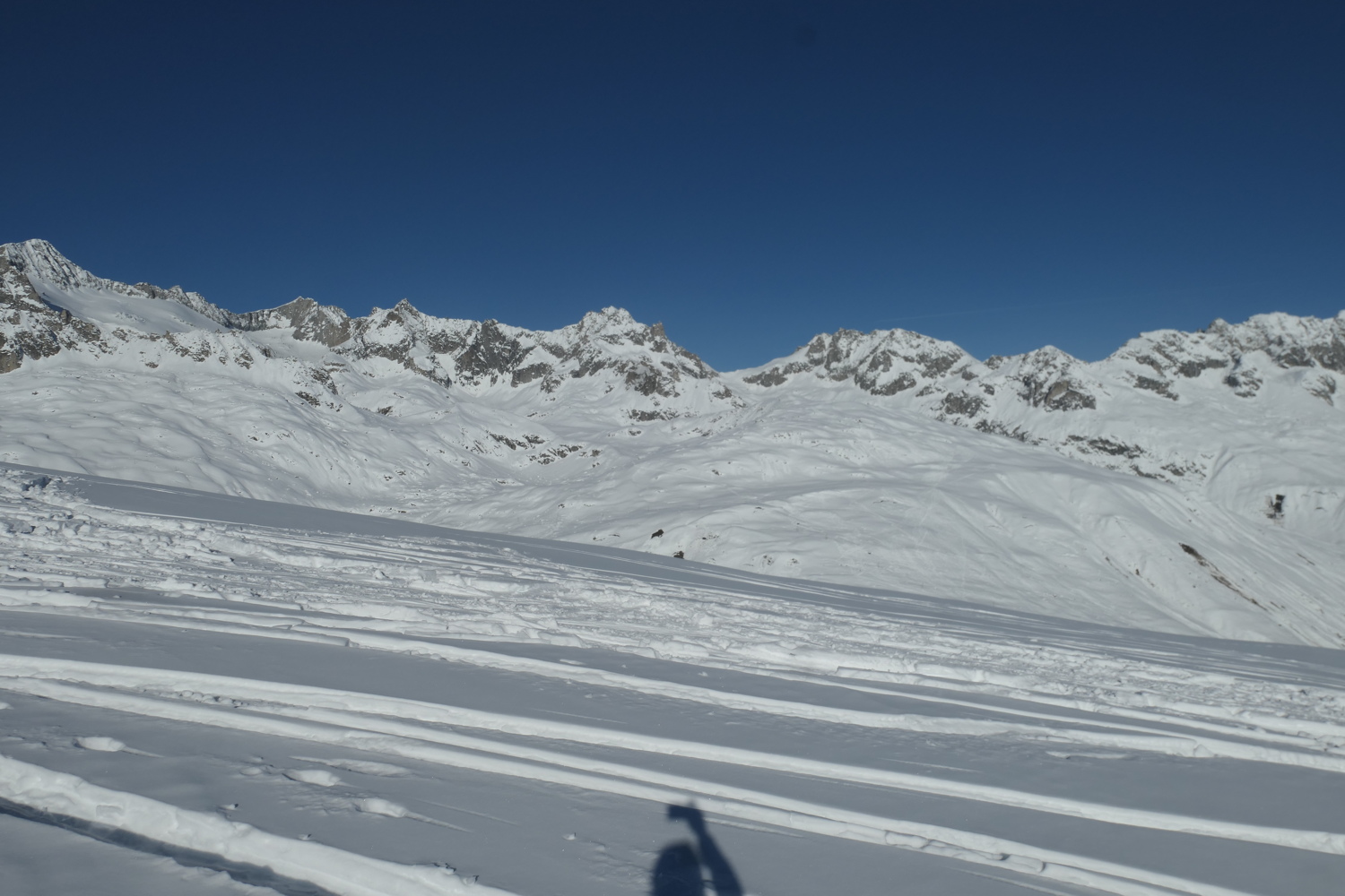 p1080153.jpg