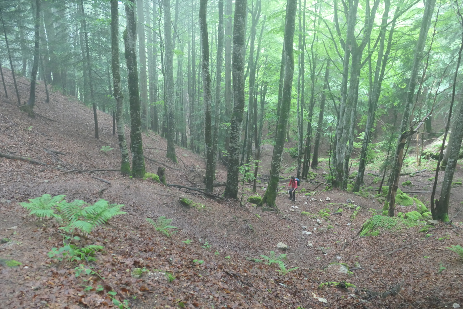 p1060027.jpg