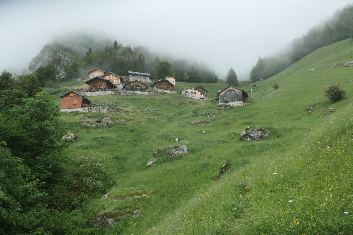 p1060029.jpg