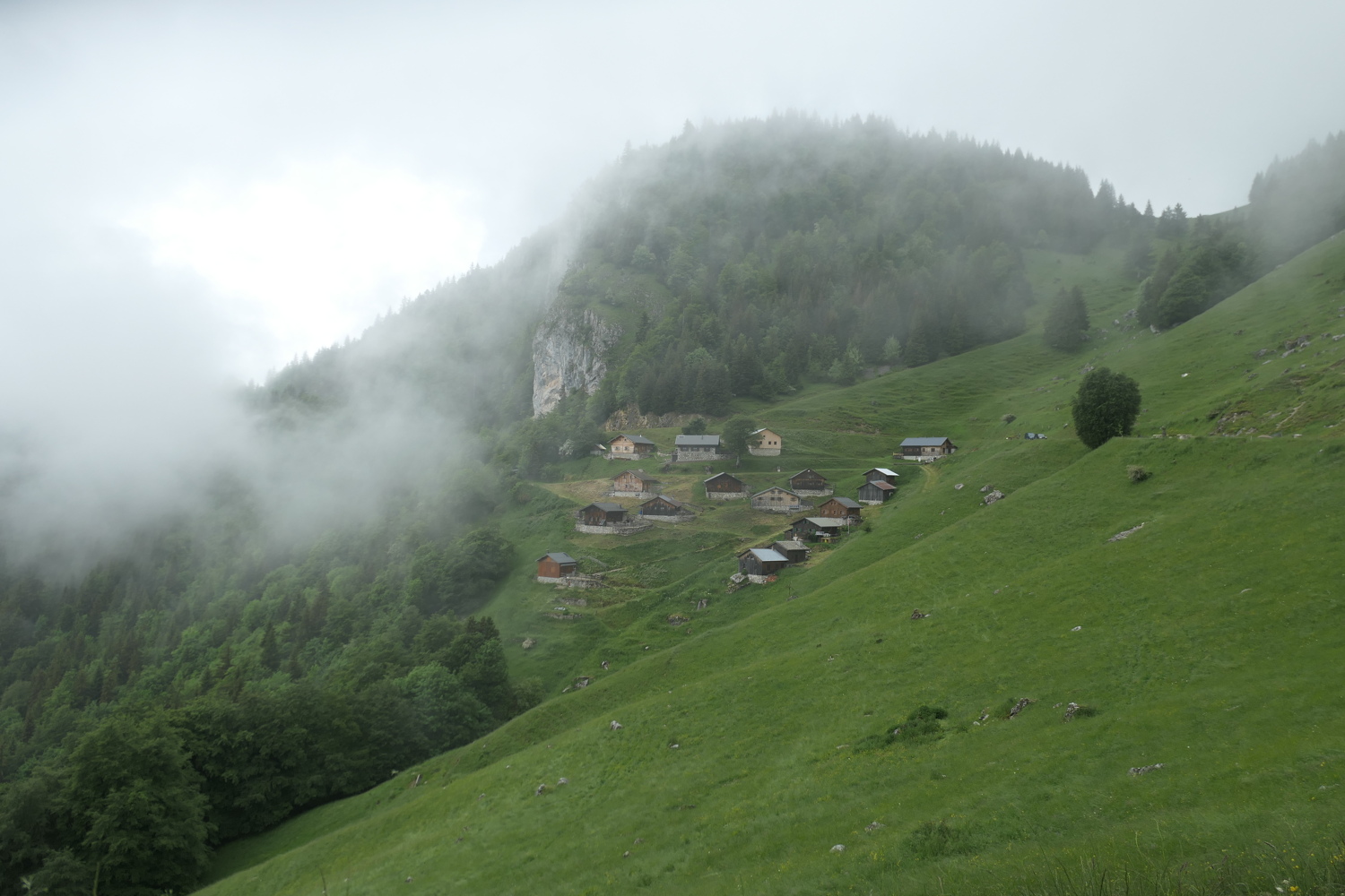 p1060033.jpg