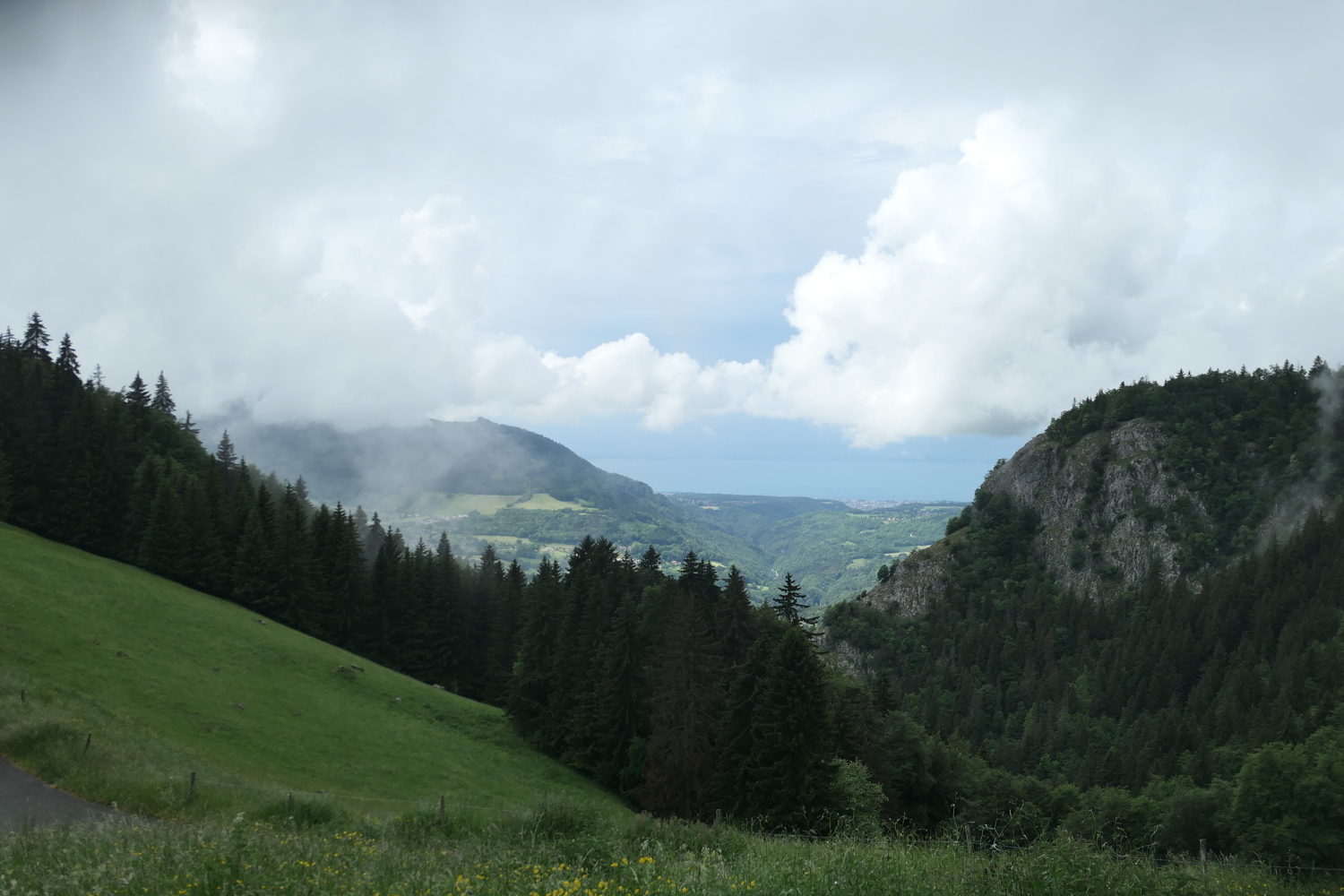 p1060035.jpg