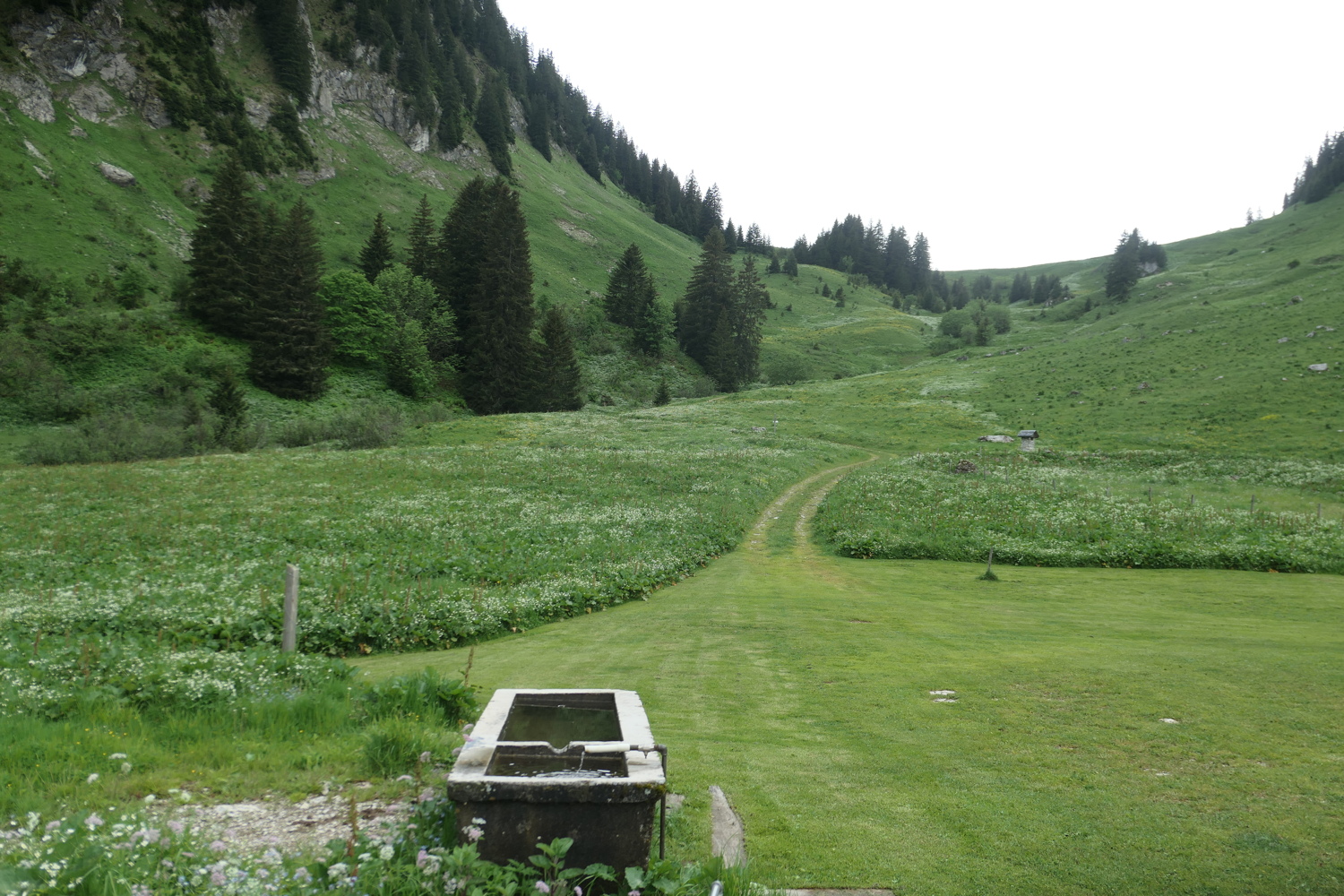p1060044.jpg