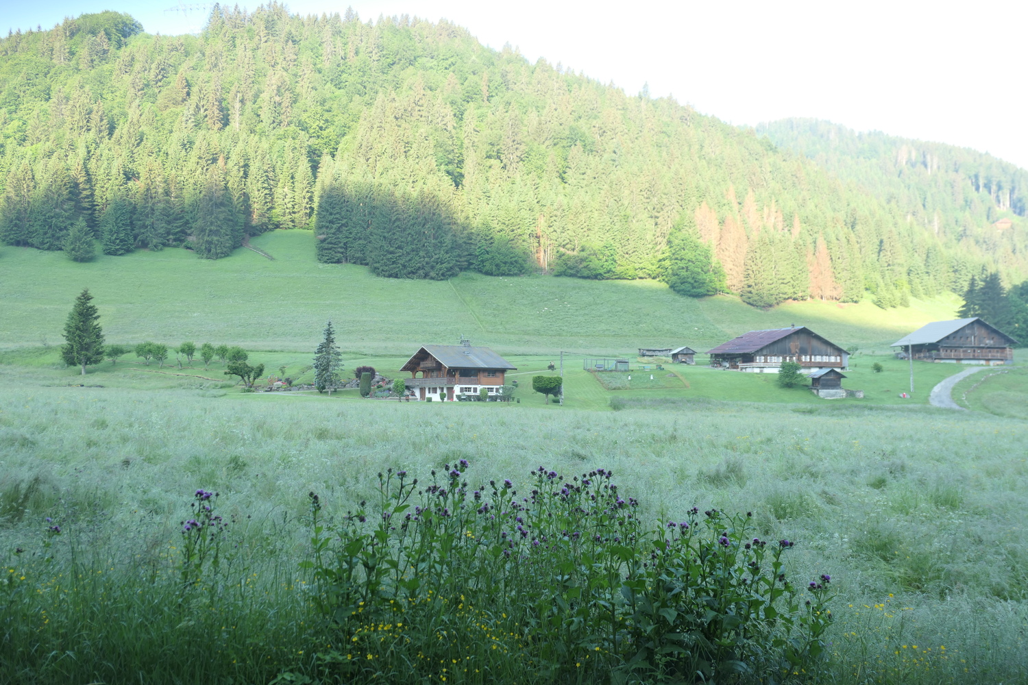 p1060051.jpg