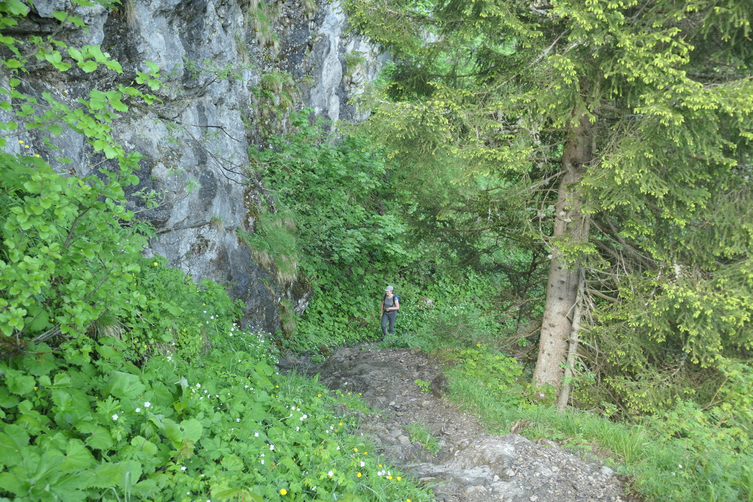 p1060054.jpg