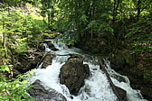 p1060068.jpg