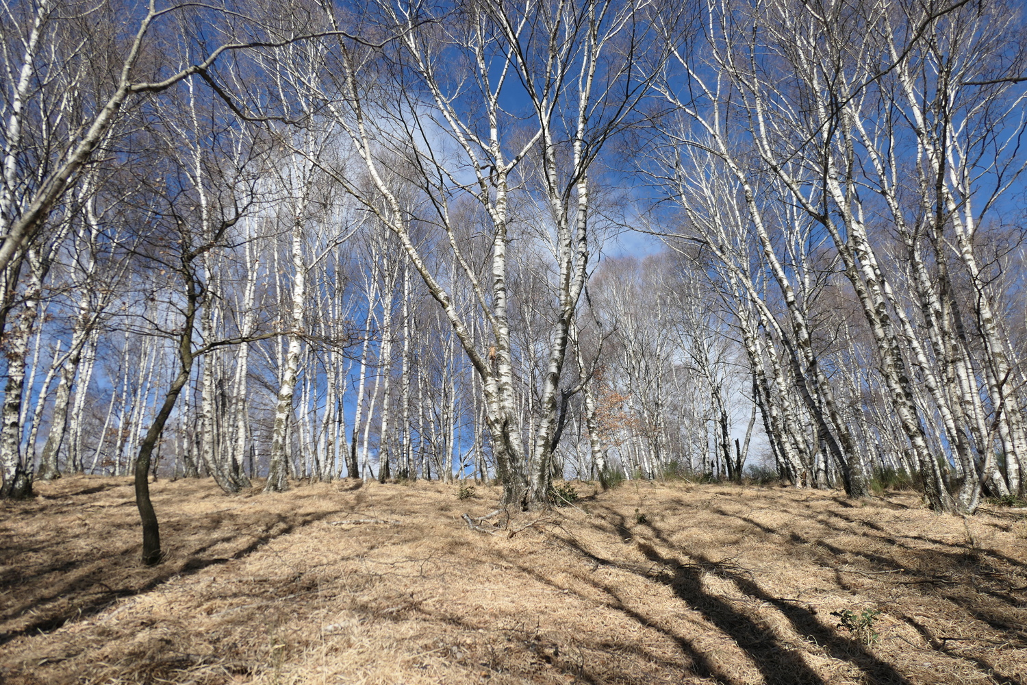 p1050160.jpg
