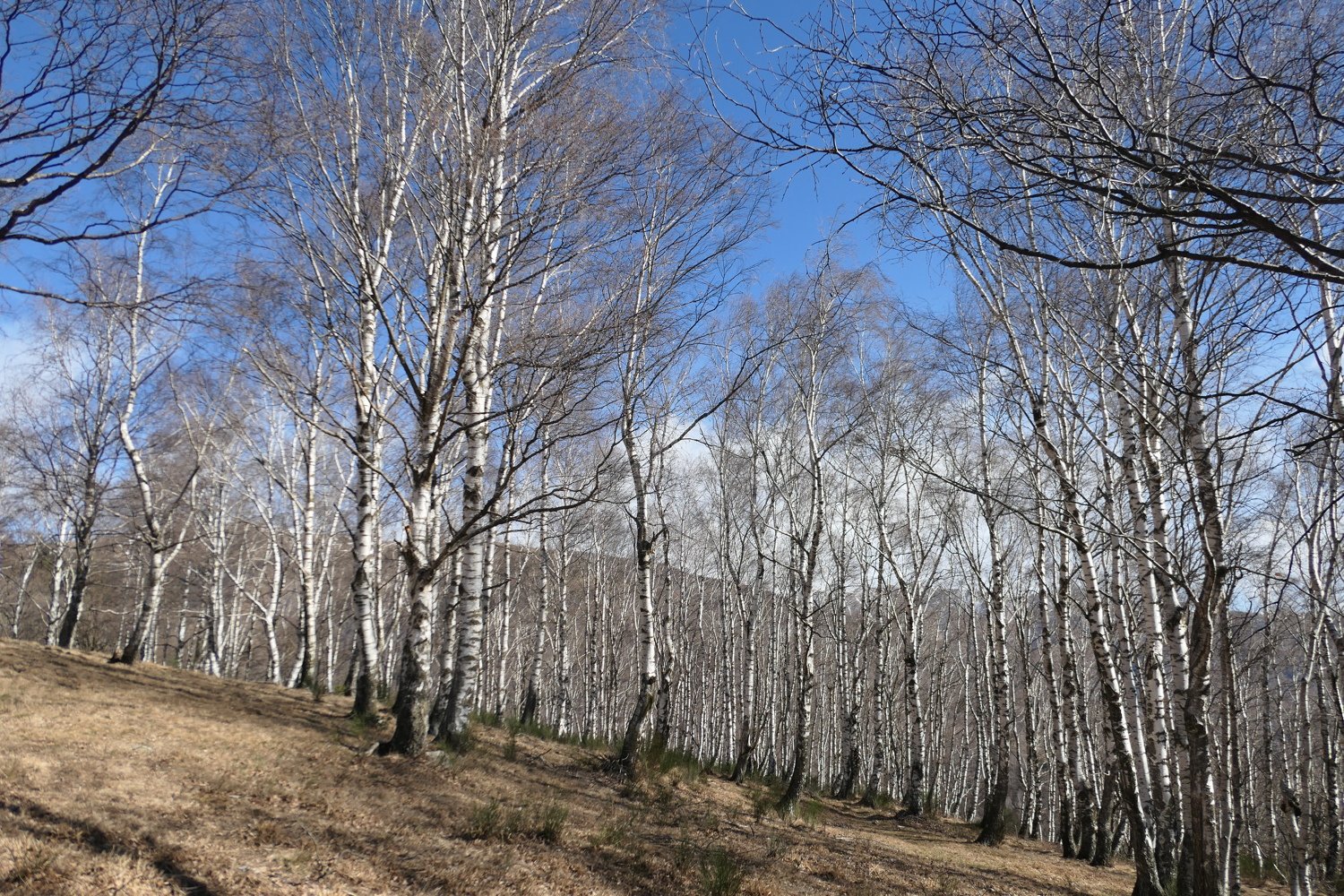 p1050163.jpg