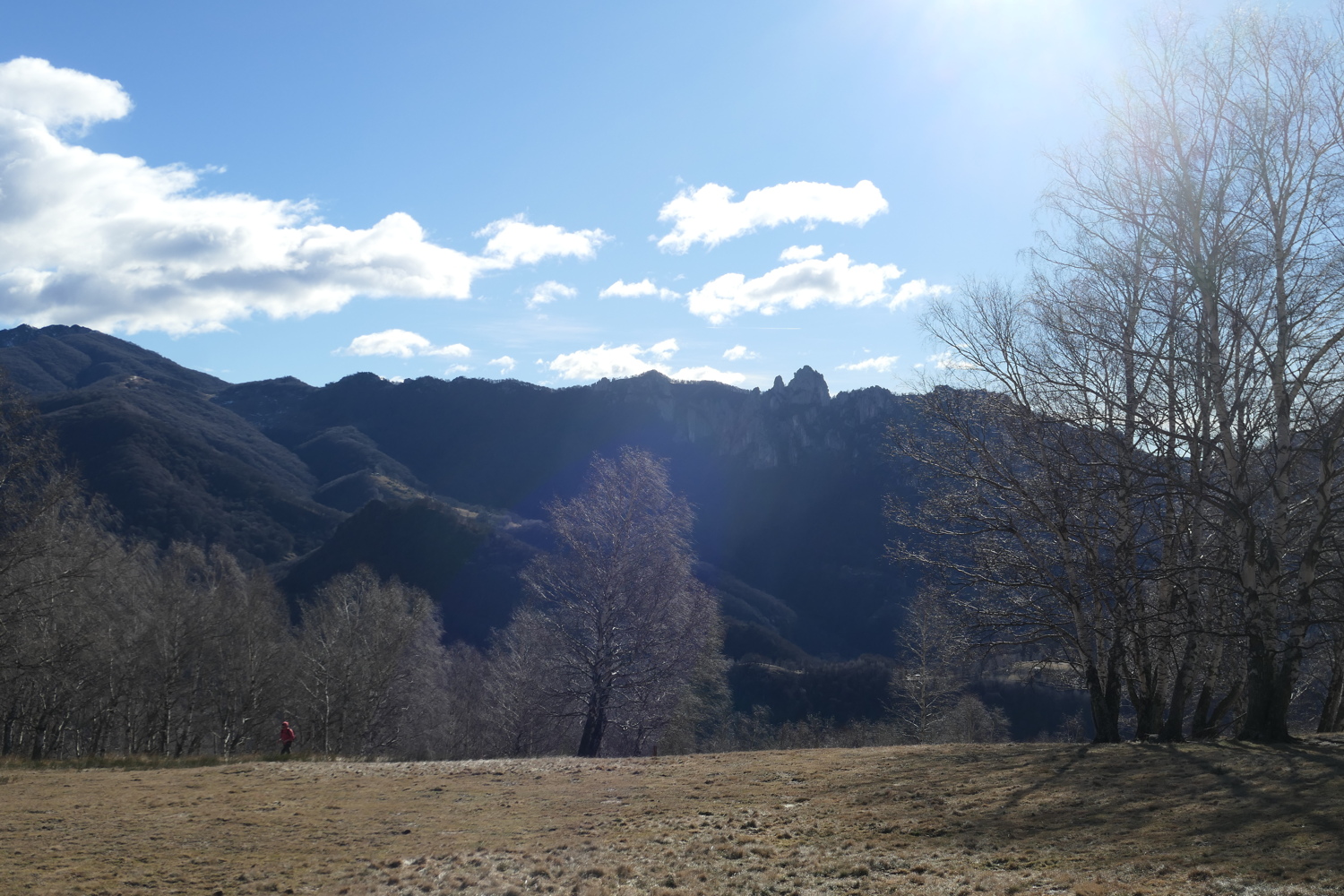 p1050164.jpg