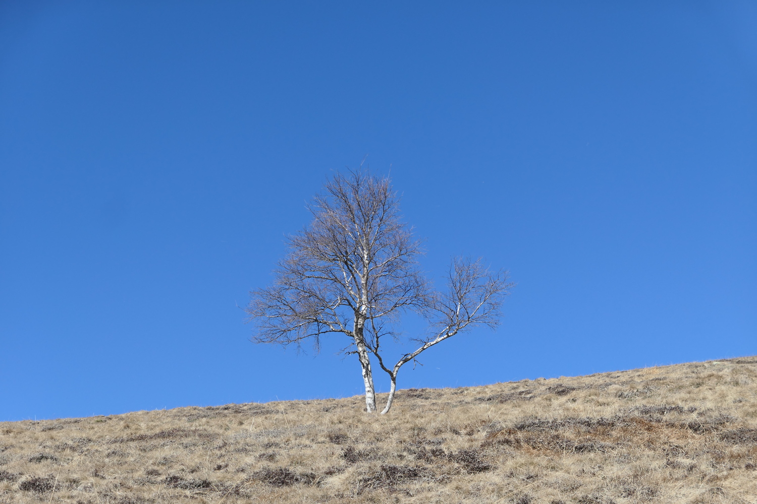 p1050168.jpg