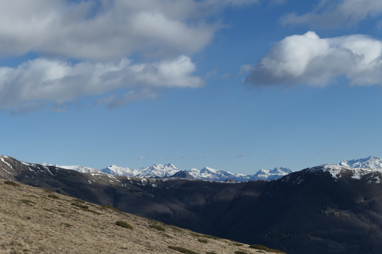 p1050178.jpg