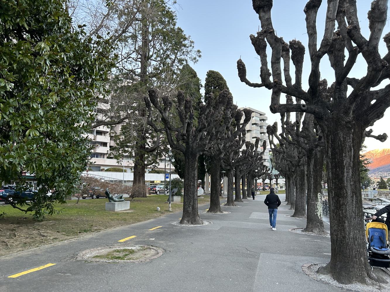 p1050186e.jpg