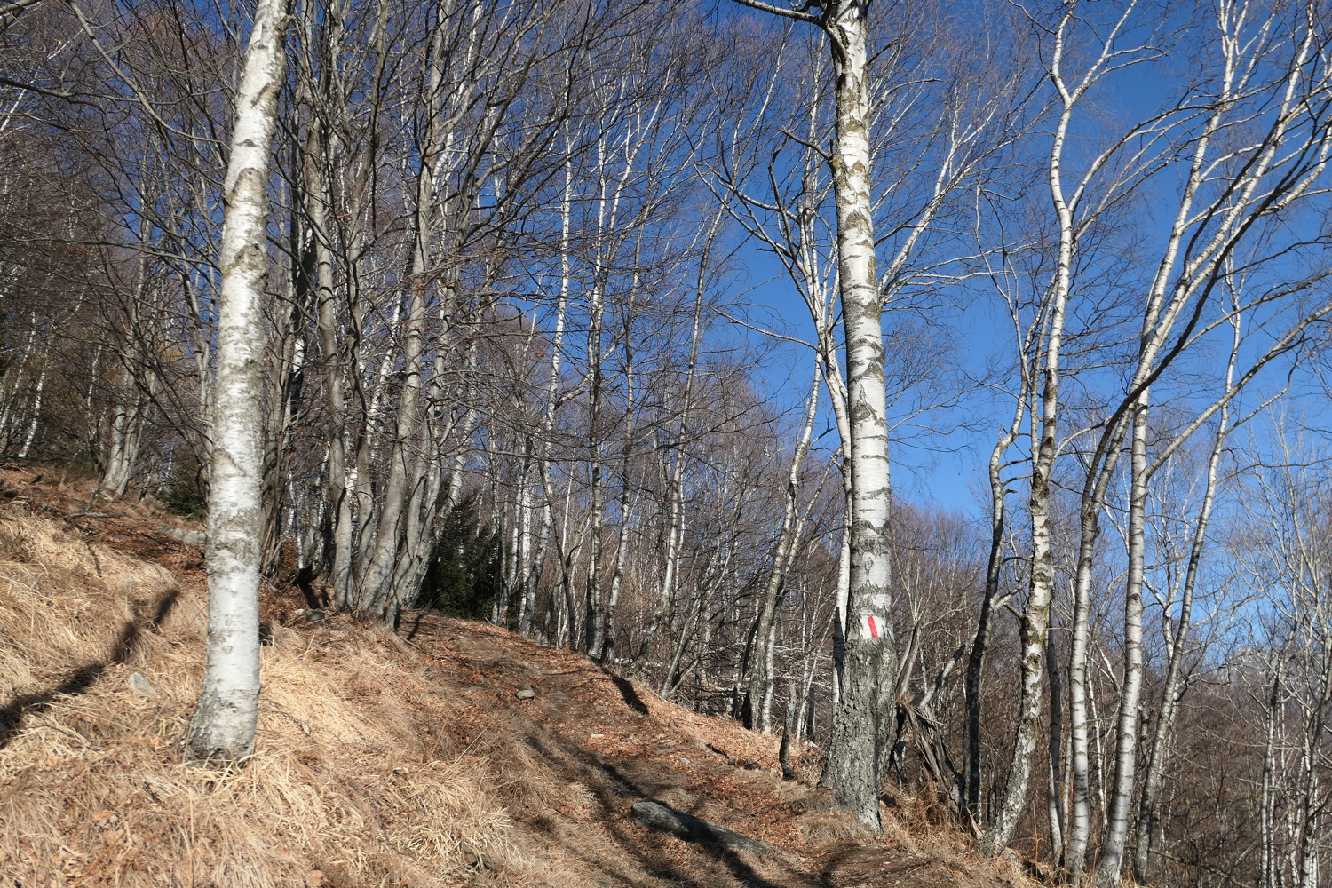 p1050191.jpg