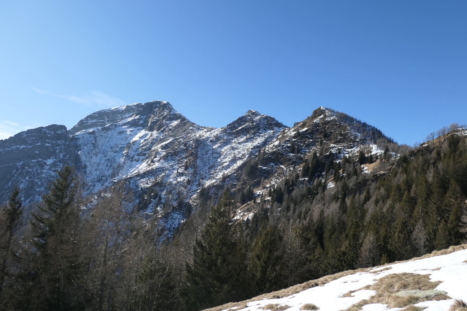p1050197.jpg