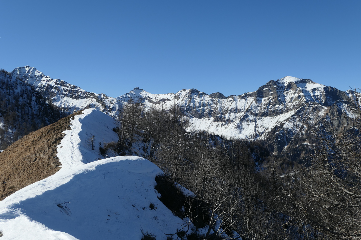 p1050201.jpg