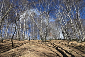 p1050160.jpg