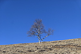 p1050168.jpg
