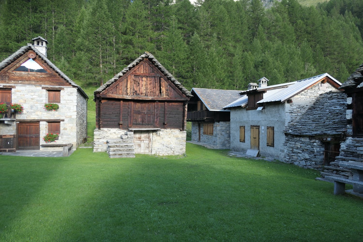 p1060370.jpg